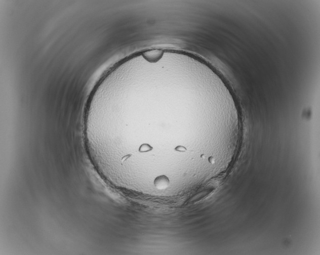 X0000110931240200907091513