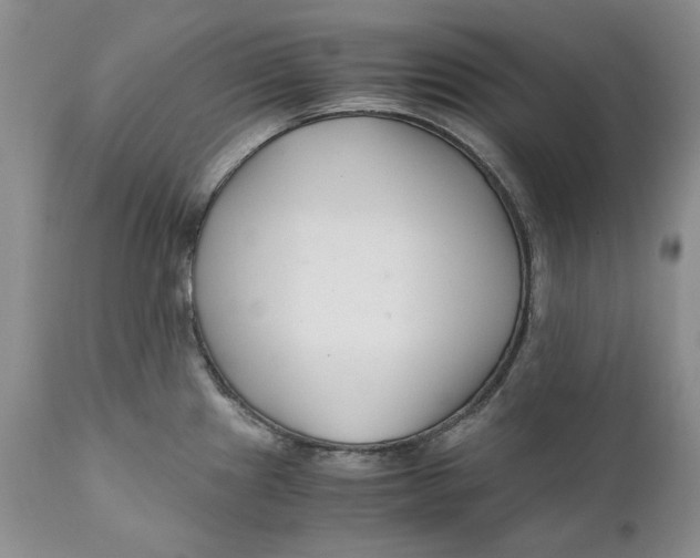 X0000110931241200907091513