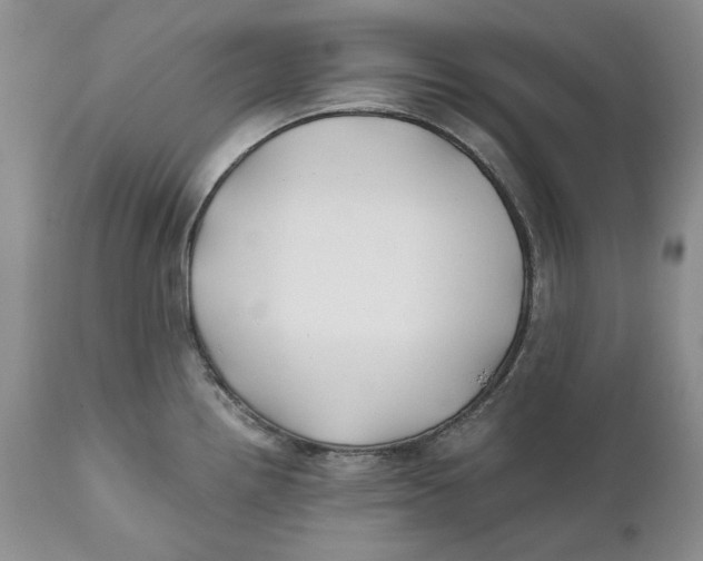 X0000110931242200907091513