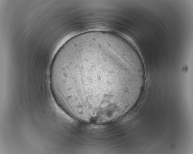 X0000110931243200907091513