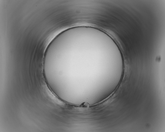 X0000110931244200907091513