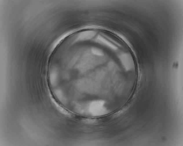 X0000110931245200907091513