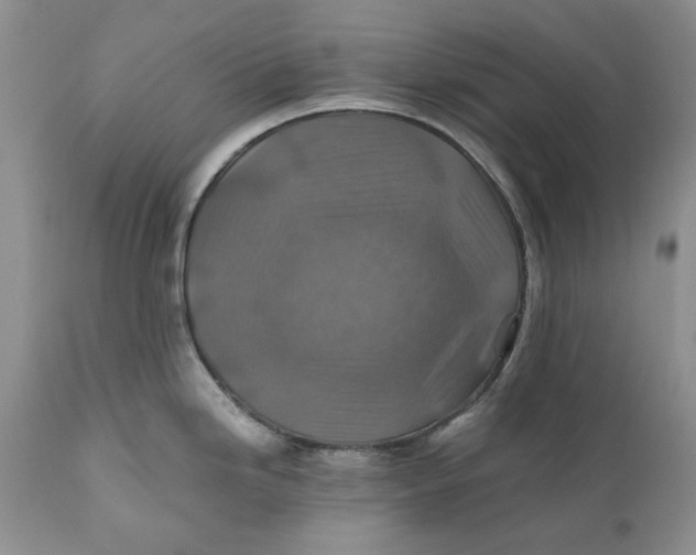X0000110931246200907091513