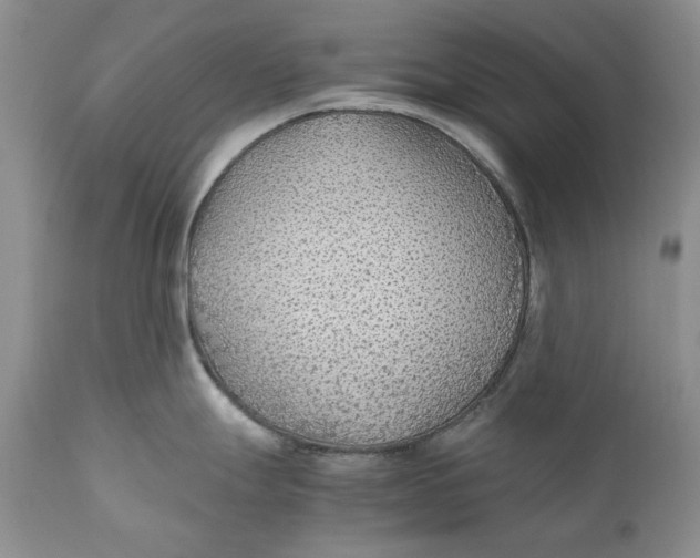 X0000110931247200907091513