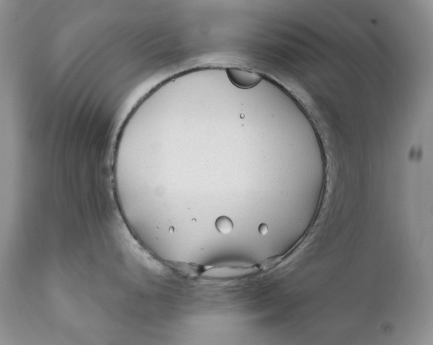 X0000110931248200907091513