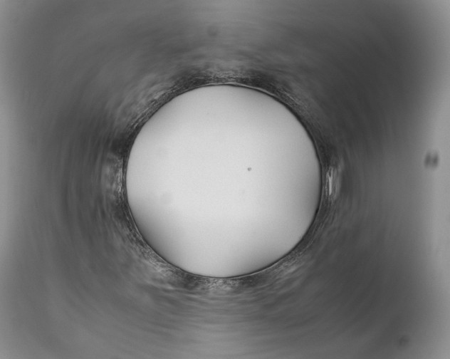 X0000110931251200907091513