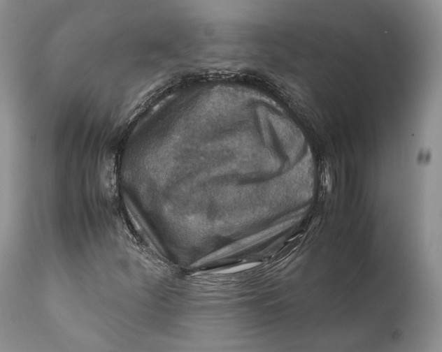 X0000110931252200907091513