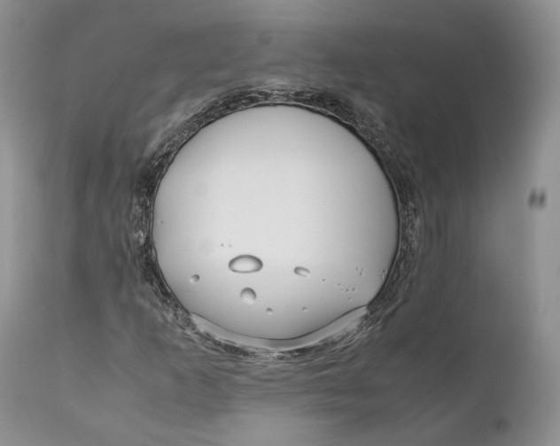 X0000110931253200907091513
