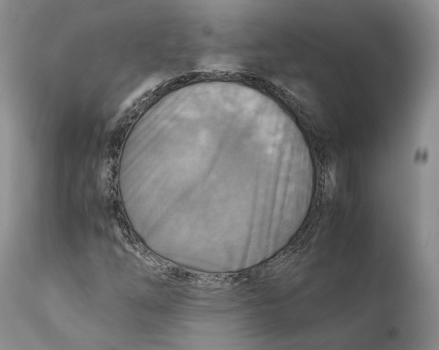 X0000110931254200907091513