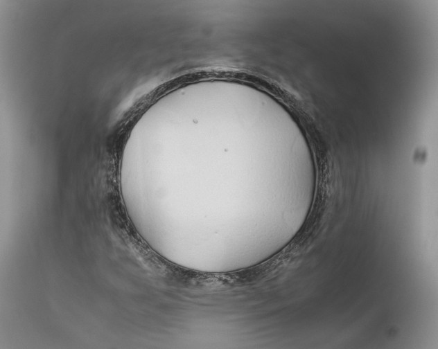 X0000110931255200907091513