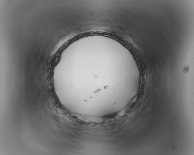 X0000110931256200907091513