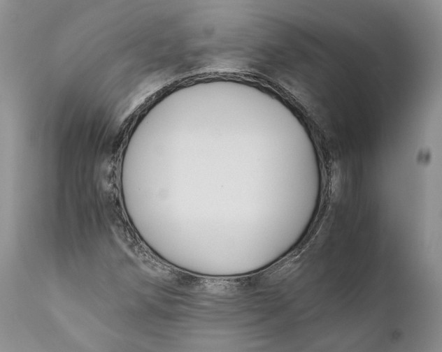 X0000110931258200907091512