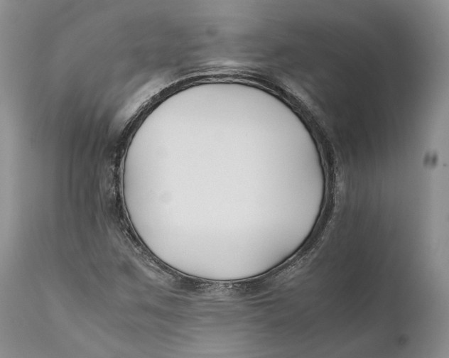 X0000110931259200907091512