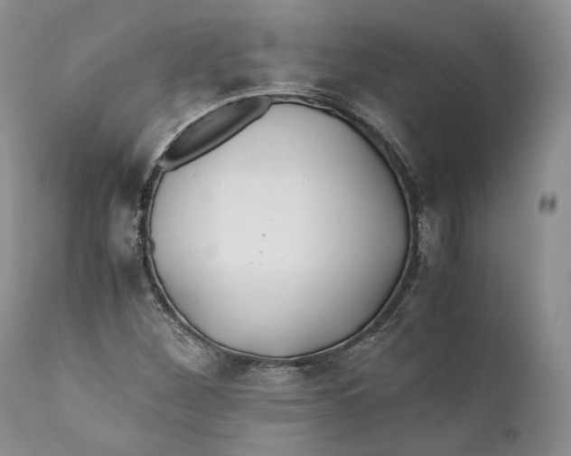 X0000110931260200907091512