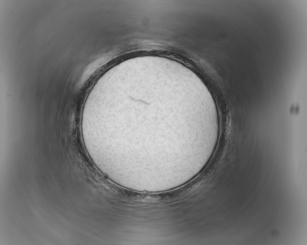 X0000110931261200907091512