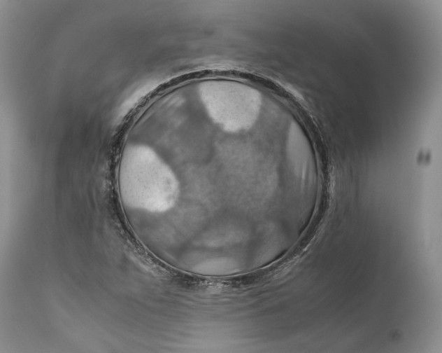 X0000110931263200907091512