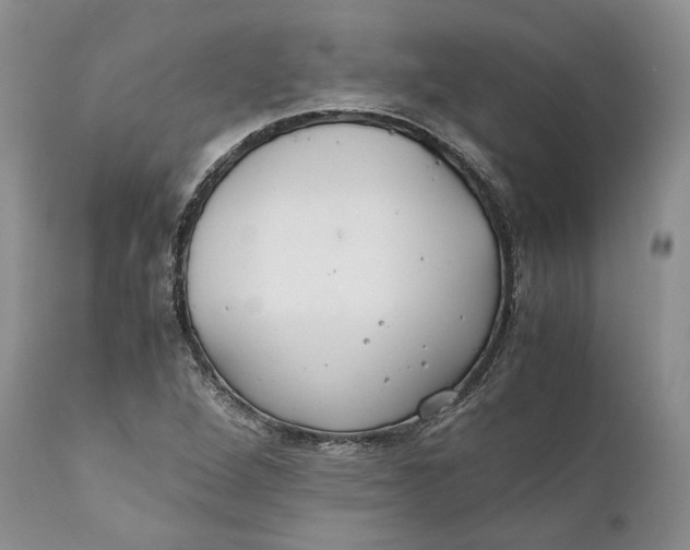X0000110931264200907091512