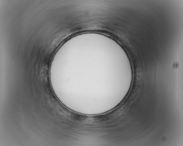 X0000110931265200907091512