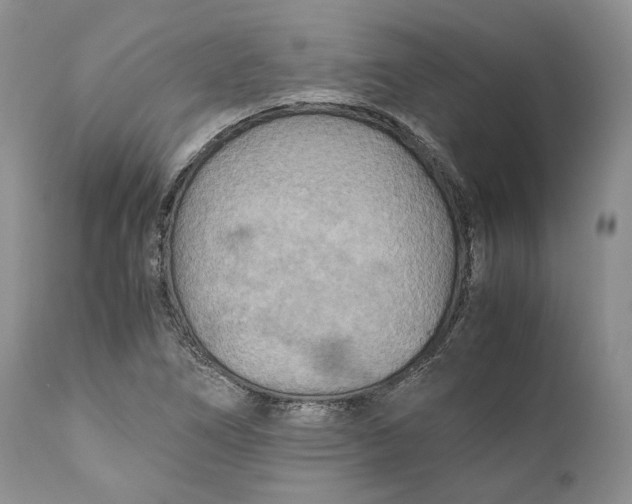 X0000110931266200907091512