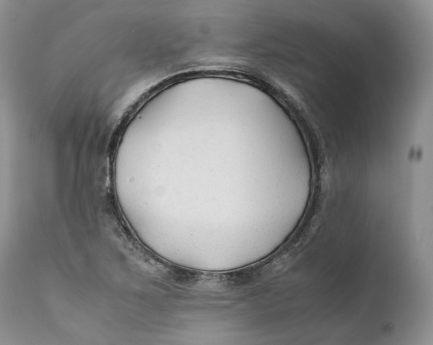 X0000110931267200907091512