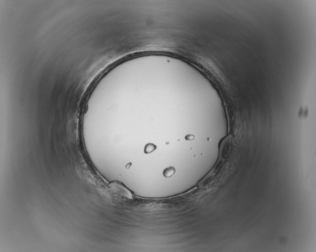X0000110931268200907091512