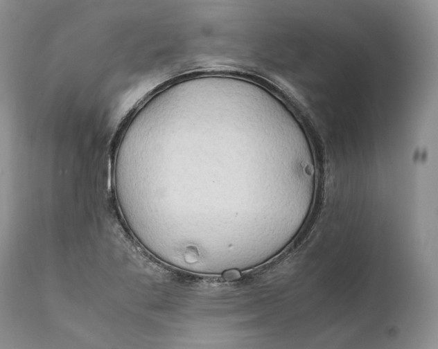 X0000110931269200907091512