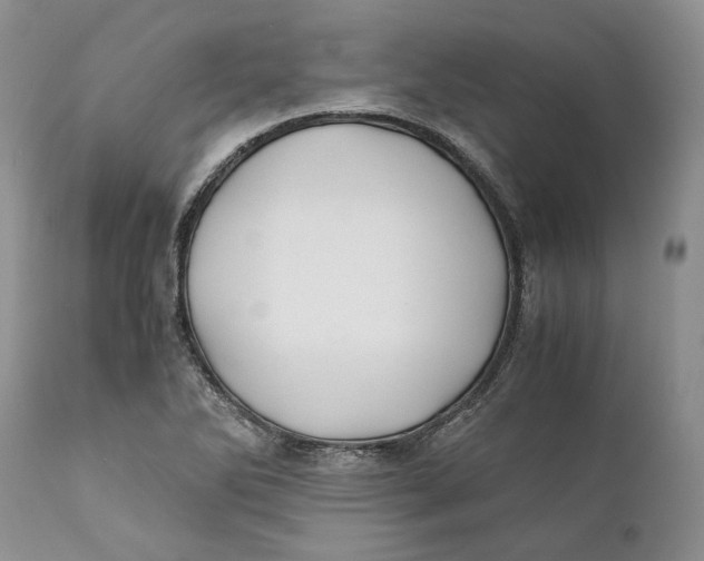 X0000110931270200907091512