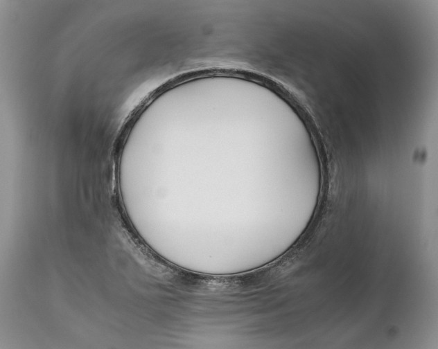 X0000110931271200907091512
