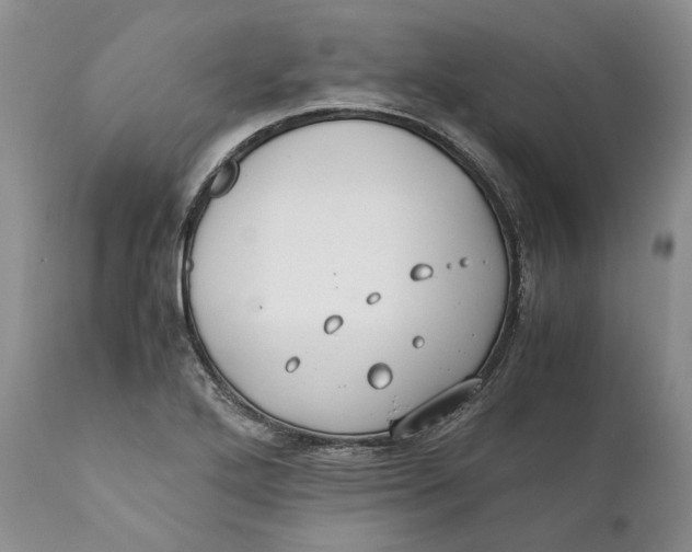 X0000110931272200907091512