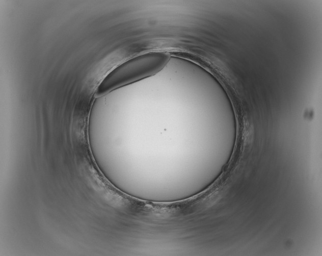 X0000110931273200907091512