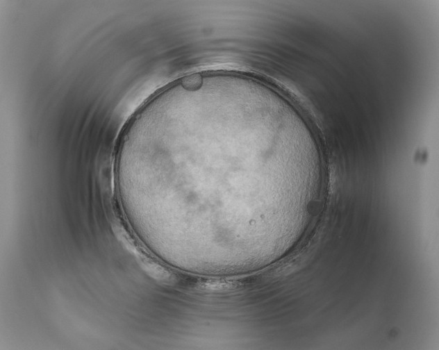 X0000110931274200907091512