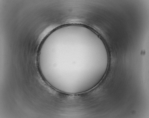 X0000110931277200907091512