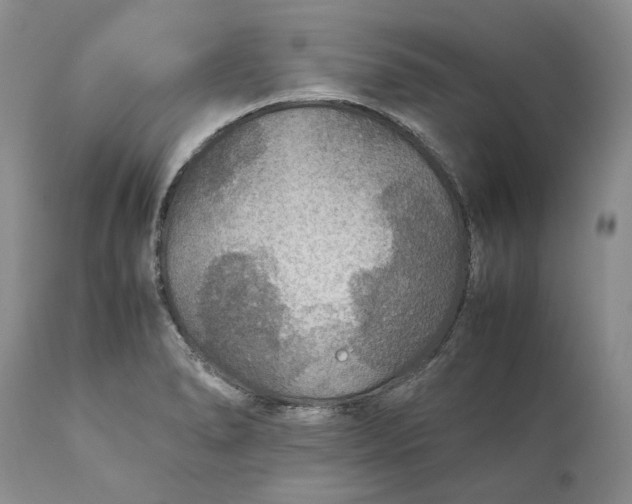X0000110931278200907091512