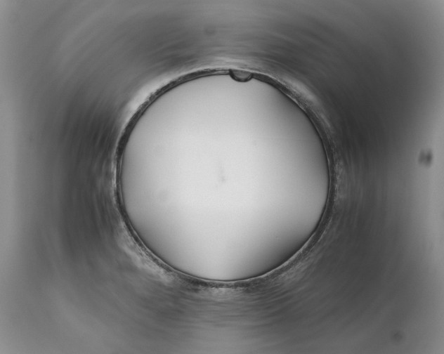X0000110931280200907091512
