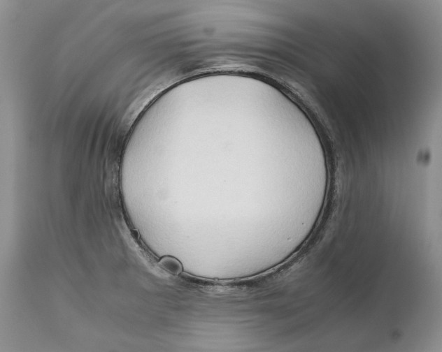 X0000110931281200907091512