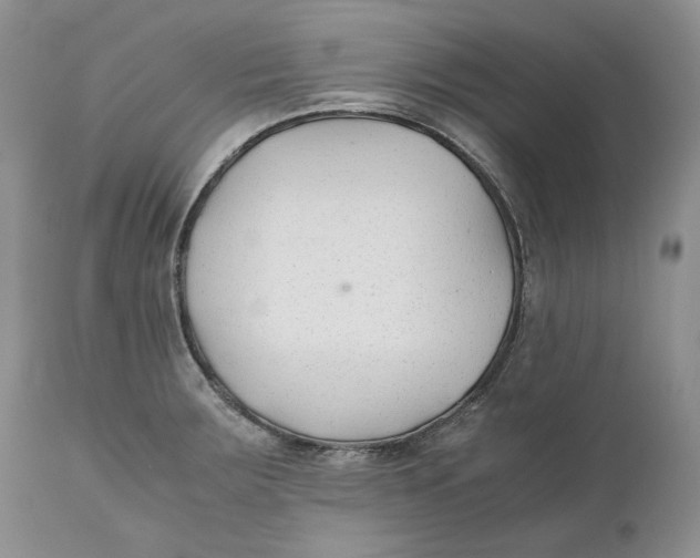 X0000110931283200907091512