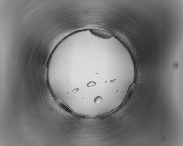 X0000110931284200907091512