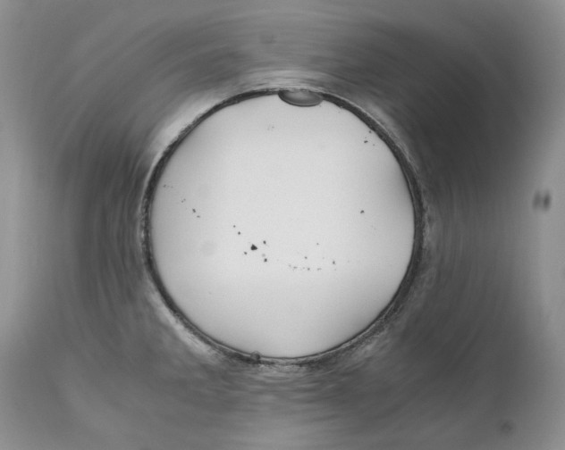 X0000110931285200907091512