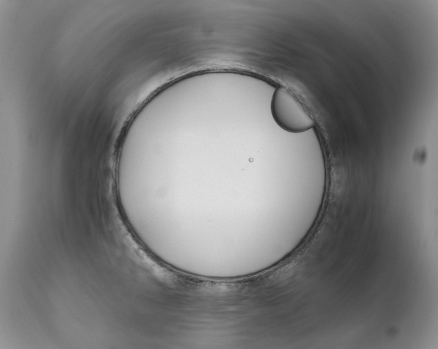 X0000110931286200907091512