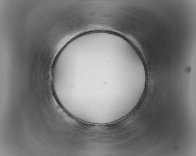 X0000110931287200907091512