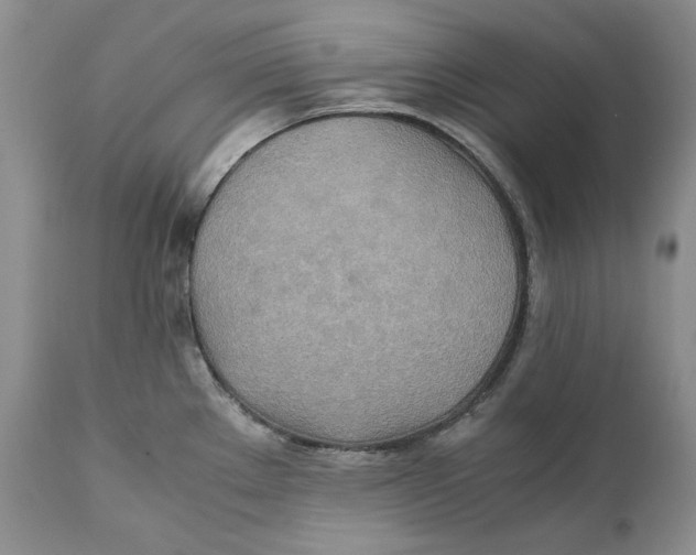 X0000110931289200907091512