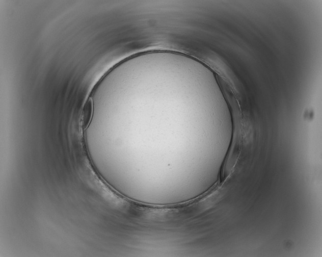 X0000110931292200907091512