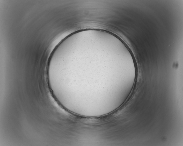 X0000110931293200907091512