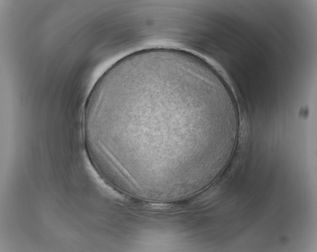 X0000110931295200907091512
