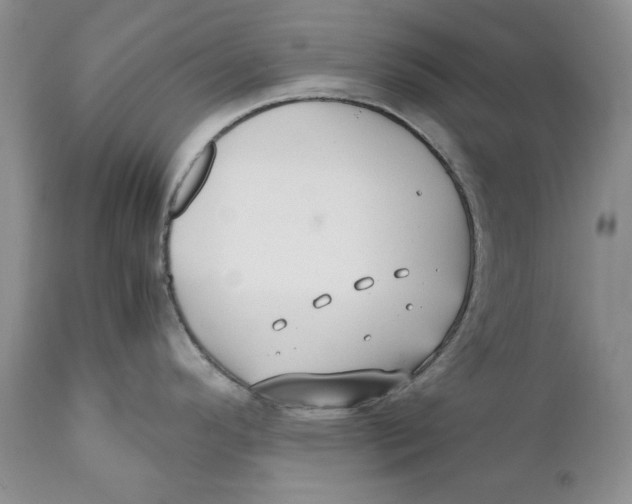 X0000110931296200907091512