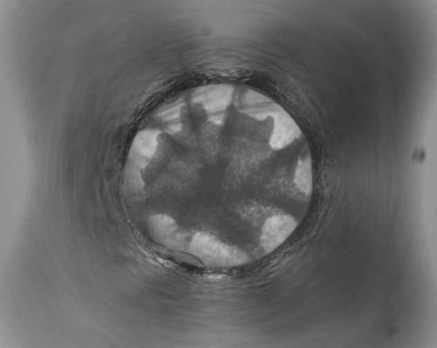 X0000110931297200907091511