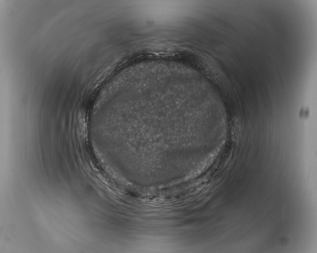 X0000110931298200907091511