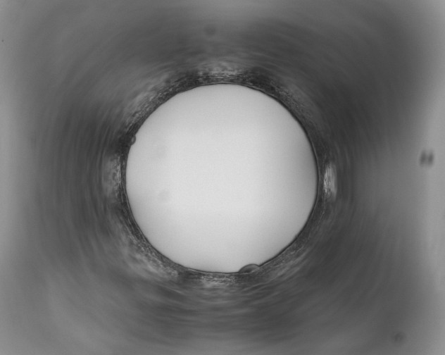 X0000110931299200907091511