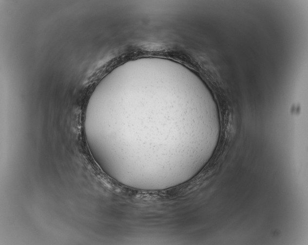 X0000110931301200907091511