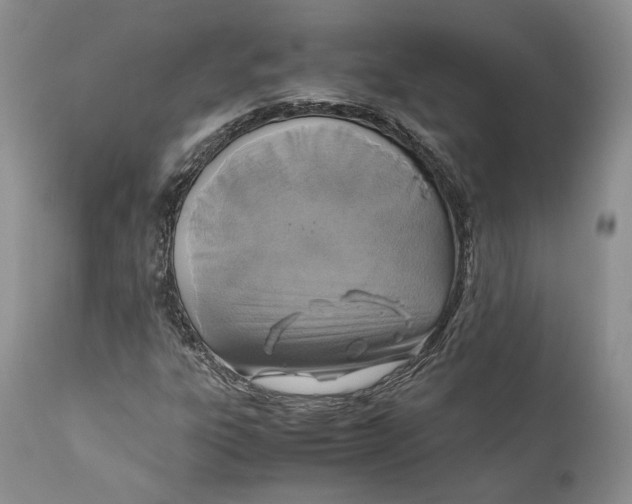 X0000110931303200907091511